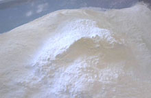 カルナーカルシン